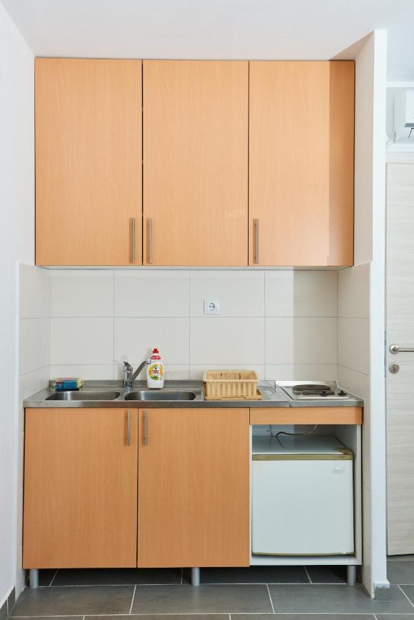 Sakota Family House Apartment Sremska Kamenica Luaran gambar