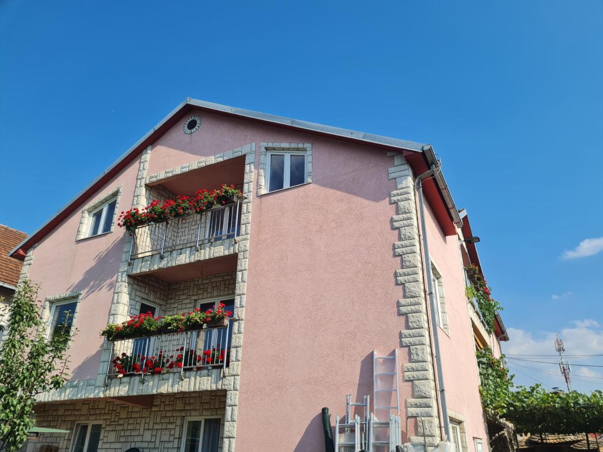 Sakota Family House Apartment Sremska Kamenica Luaran gambar