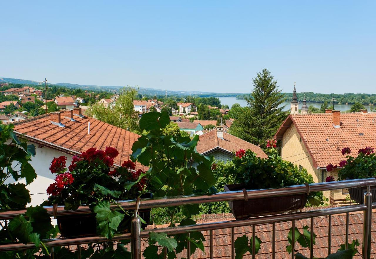 Sakota Family House Apartment Sremska Kamenica Luaran gambar
