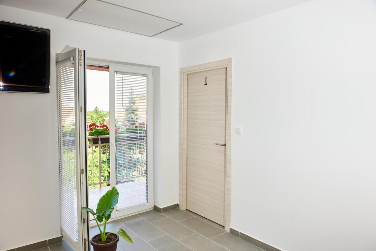 Sakota Family House Apartment Sremska Kamenica Luaran gambar