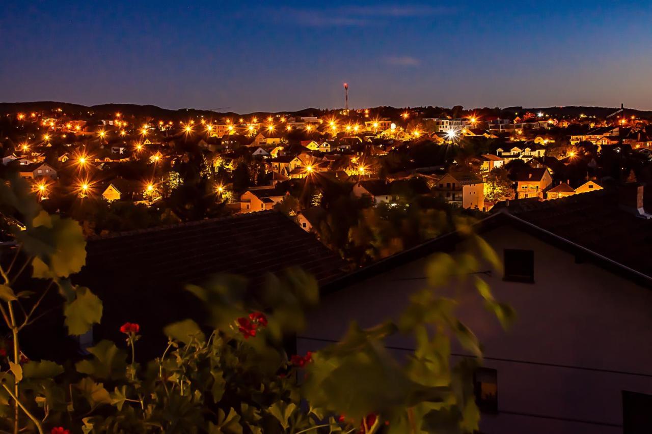 Sakota Family House Apartment Sremska Kamenica Luaran gambar